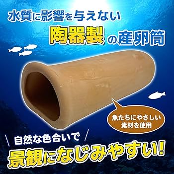 Amazon.co.jp: ファビュラス堂 産卵 シェルター 筒 熱帯魚